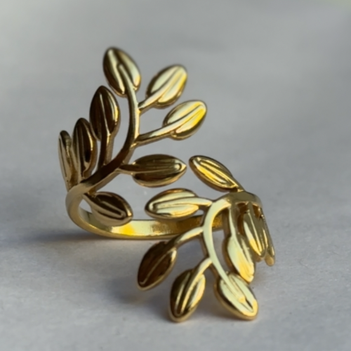 Anillo Ramas